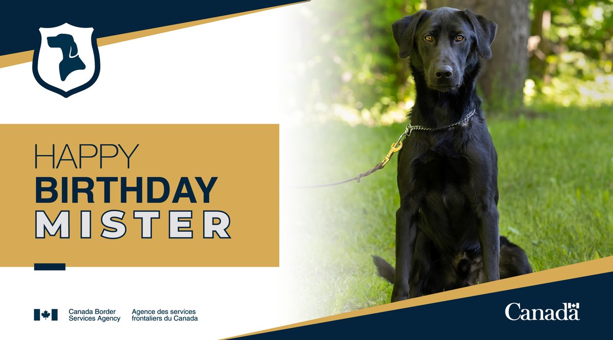 Border Services SOR tweet media