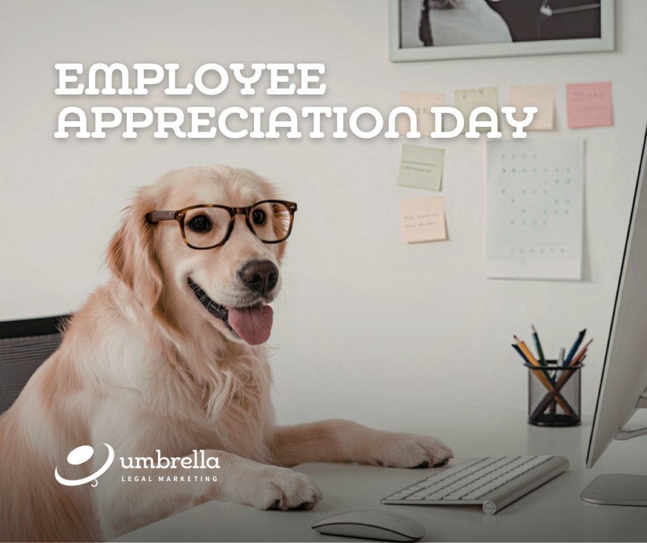 UmbrellaLM's tweet photo. Today, we are taking a moment to celebrate the incredible individuals who make our work possible. Our team’s dedication and passion are the driving forces behind every success we achieve. We are profoundly grateful for the talent and heart you bring every single day! #teamULM https://t.co/hB09zUAape