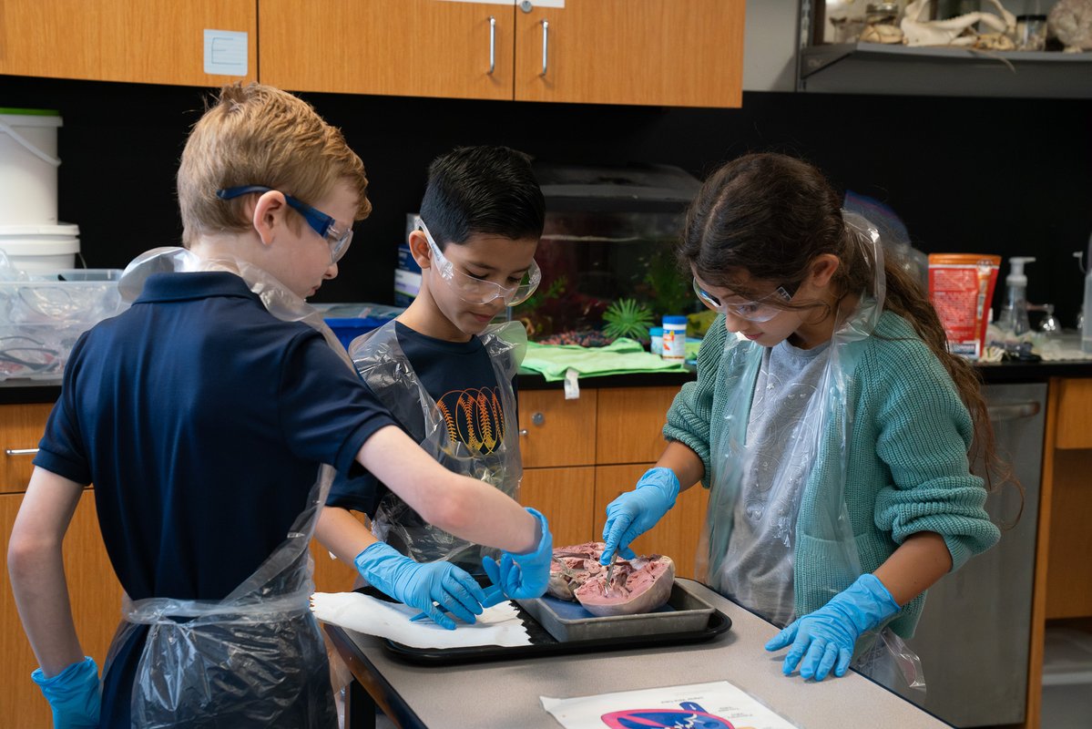 Lakehill Preparatory School tweet media