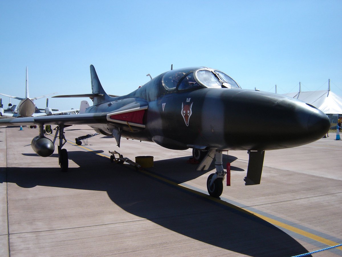 PaleoAero tweet media