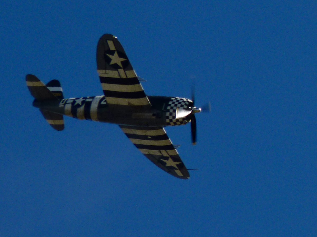 PaleoAero tweet media