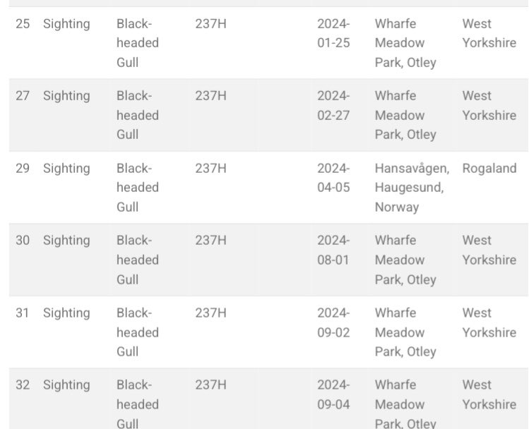 allthingsmothy tweet media