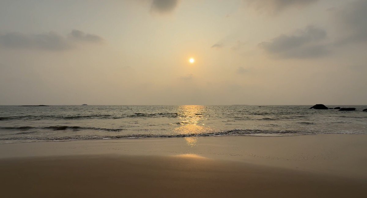 Journey with Jogu tweet media