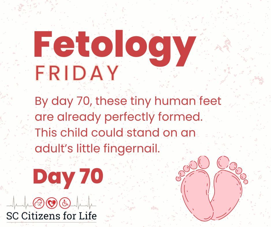 SC Citizens for Life tweet media