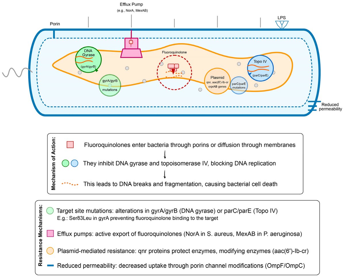 Pathogens MDPI tweet media
