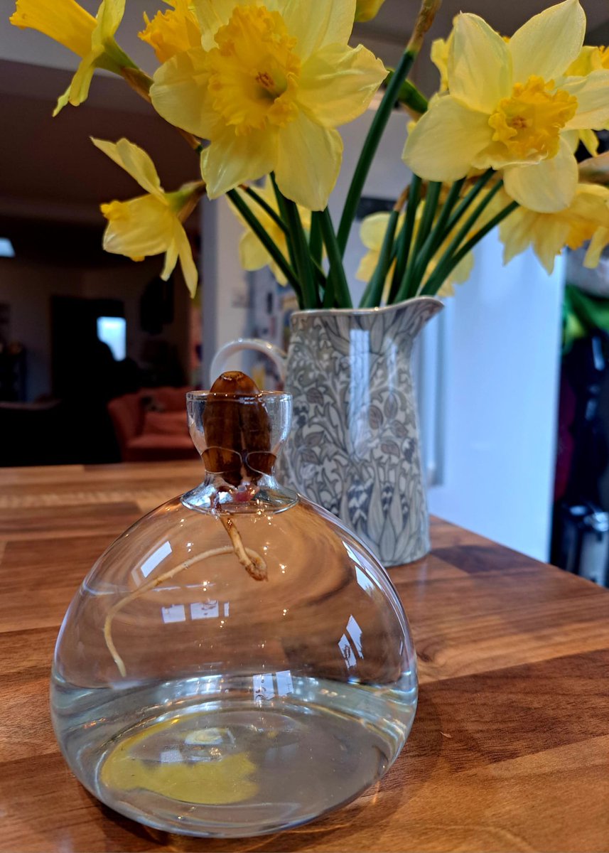 mycarlwright's tweet photo. "The oak sleeps in the acorn; the bird waits in the egg; and in the highest vision of the soul a waking angel stirs. Dreams are the seedlings of realities." - James Allen

@TheKentAcorn and so we begin again 🌱🌳 https://t.co/QG6kburIGv