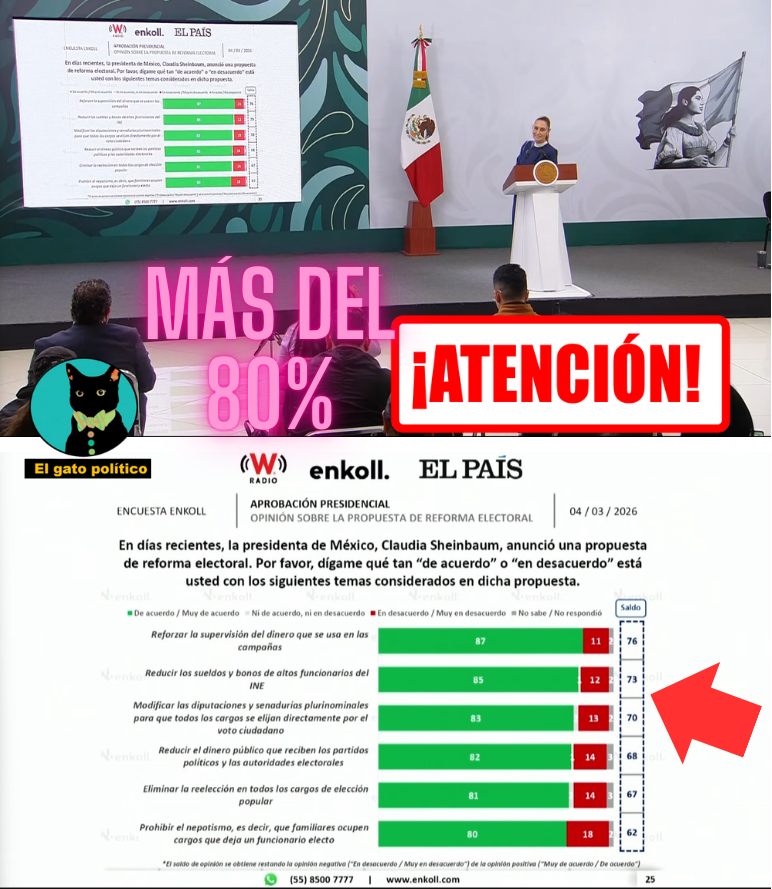 El gato político tweet media