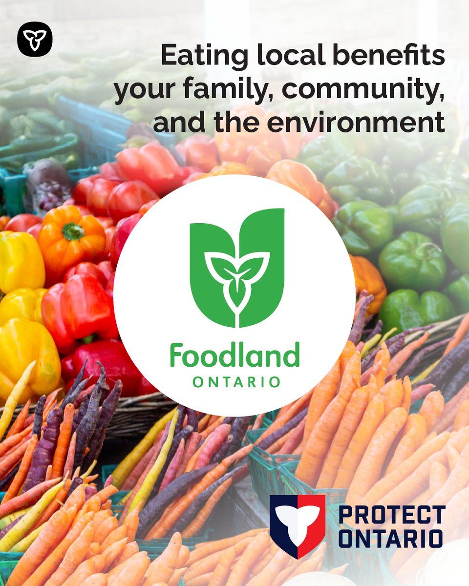 Ontario Children Services tweet media