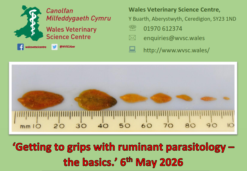 Sheep Veterinary Soc tweet media