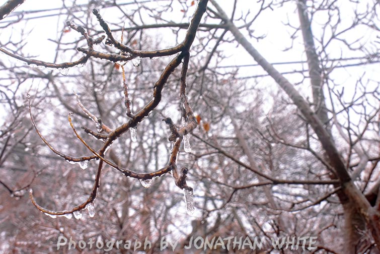 Jonathan White tweet media