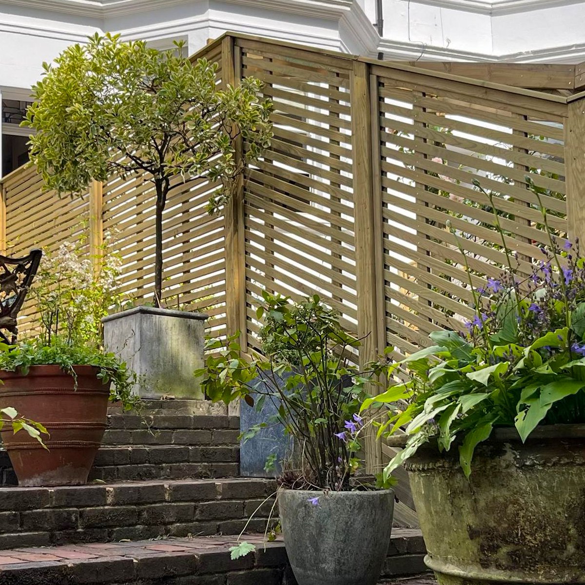 Jacksons Fencing tweet media