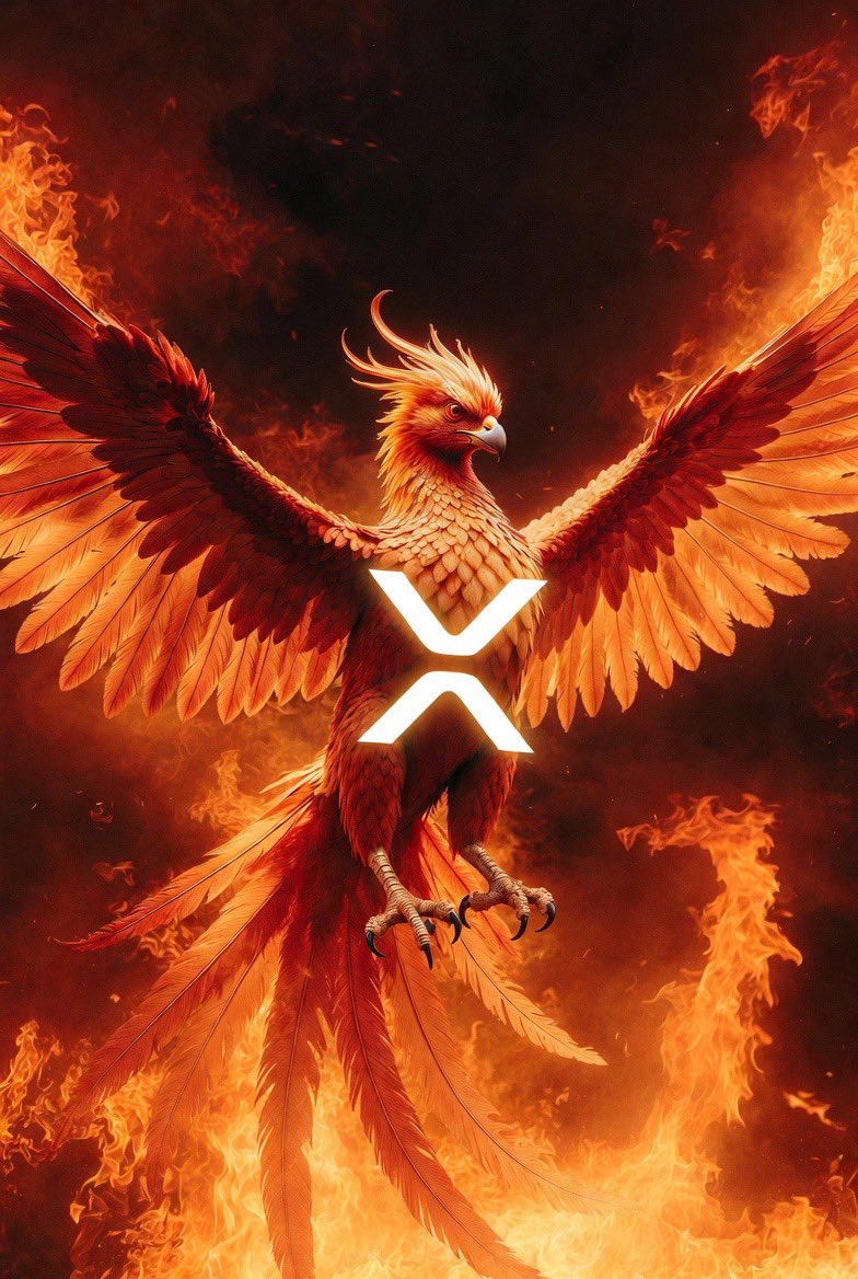 Joshr1234 tweet media