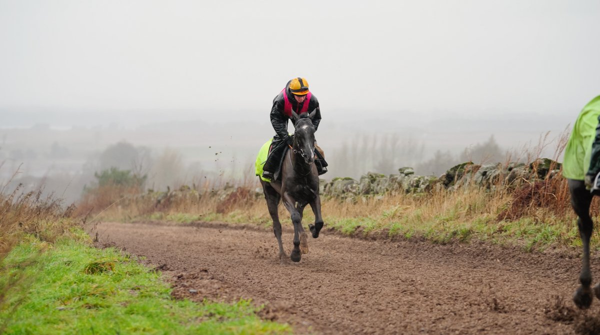 OldGoldRacing's tweet photo. Fun fact: The first day we went to film Watery Borren may have been the worst weather in the recorded history of Kinross. 😂

Despite that, Watery Borren still powered up @lucindavrussell's gallop, showing that gritty attitude that saw him win on point-to-point debut.💪

Shares in our fifth horse in training with Lucinda and @MichaelScu go on sale on March 17th. Join the waiting list today! 📆

https://t.co/P5G6AdGjWp