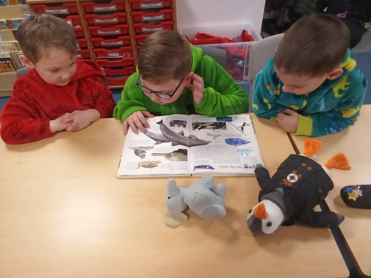 GCPY5and6 tweet media