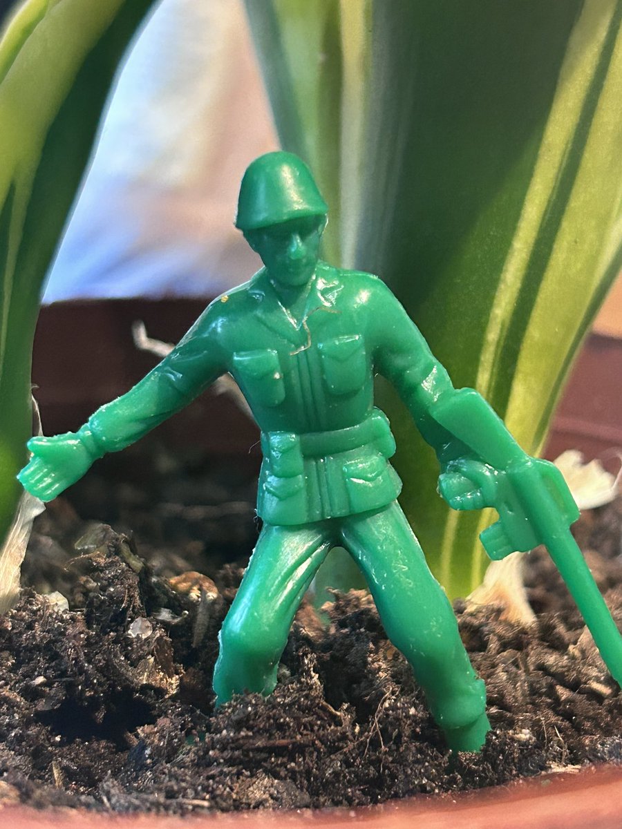 Retro Geek 🇺🇦 tweet media