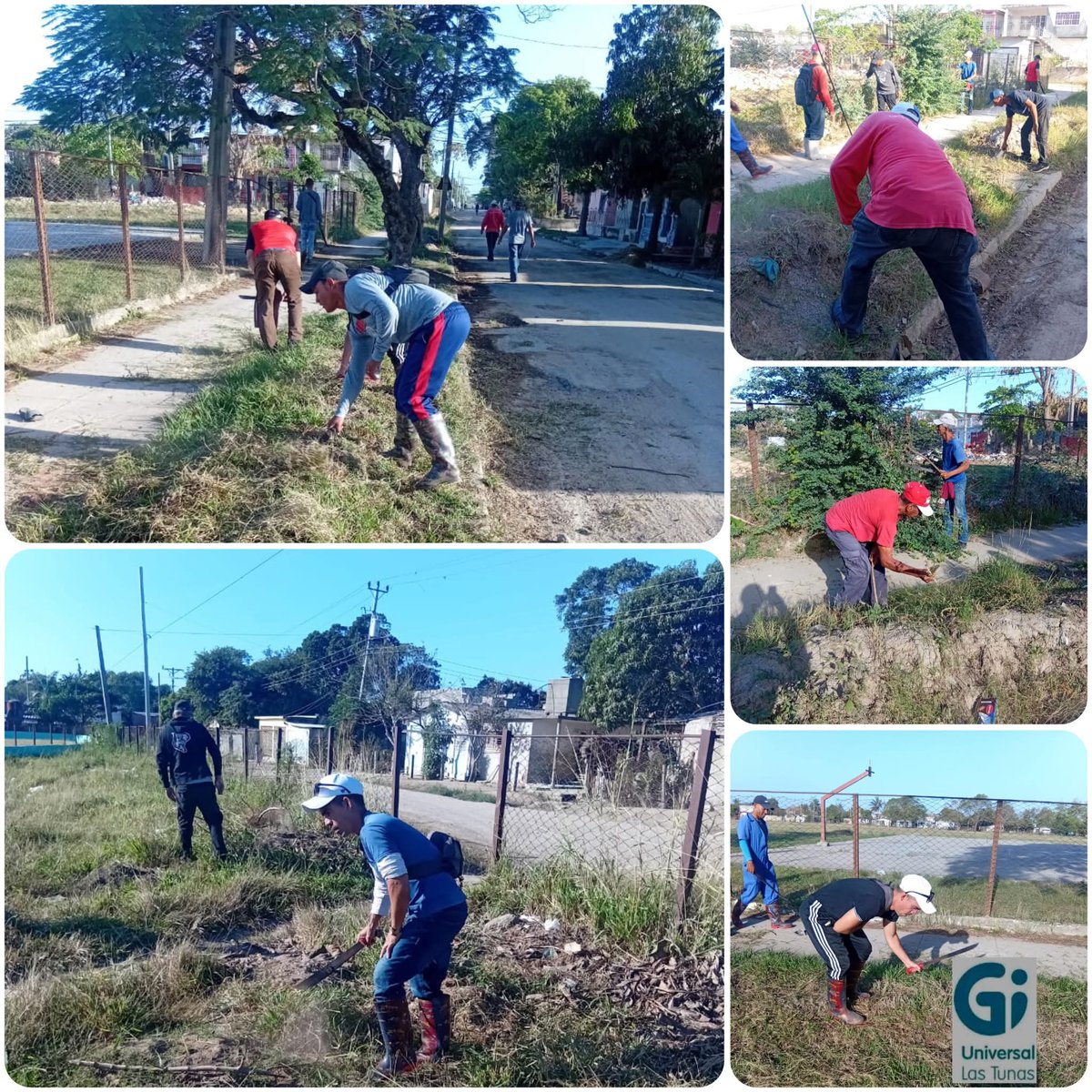 Por un entorno más limpio y saludable. 🧹🌿 #LasTunas. 

#UnidosXCuba 
#PorLasTunasLaVictoria