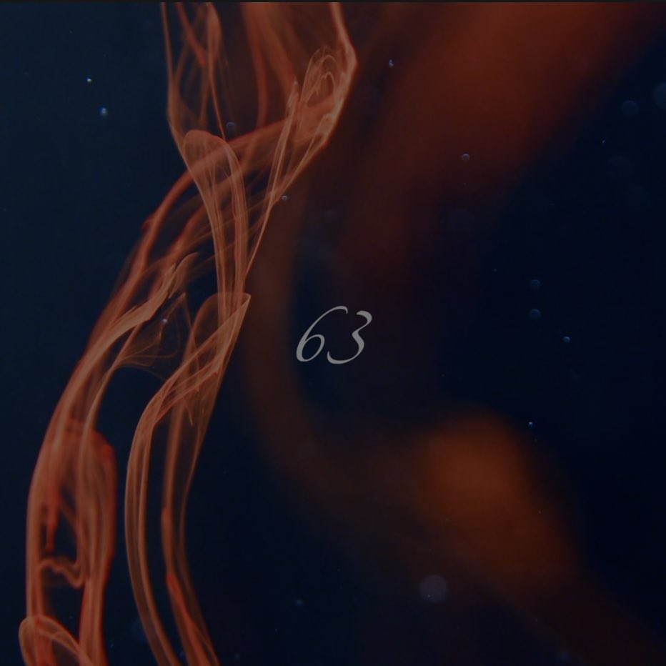 『μυοσωτίς (feat. yor)』
『63』

の2曲が配信開始されました
tunecore.co.jp/artists?id=991…