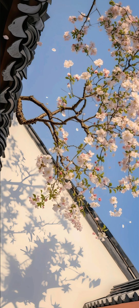 “Lock &amp; Homescreen background” ✨