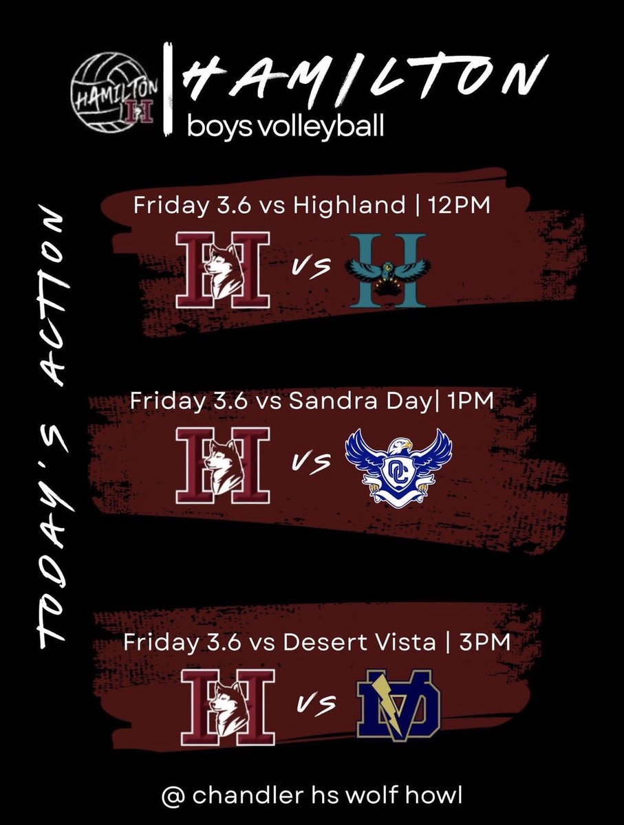 Hamilton Volleyball tweet media