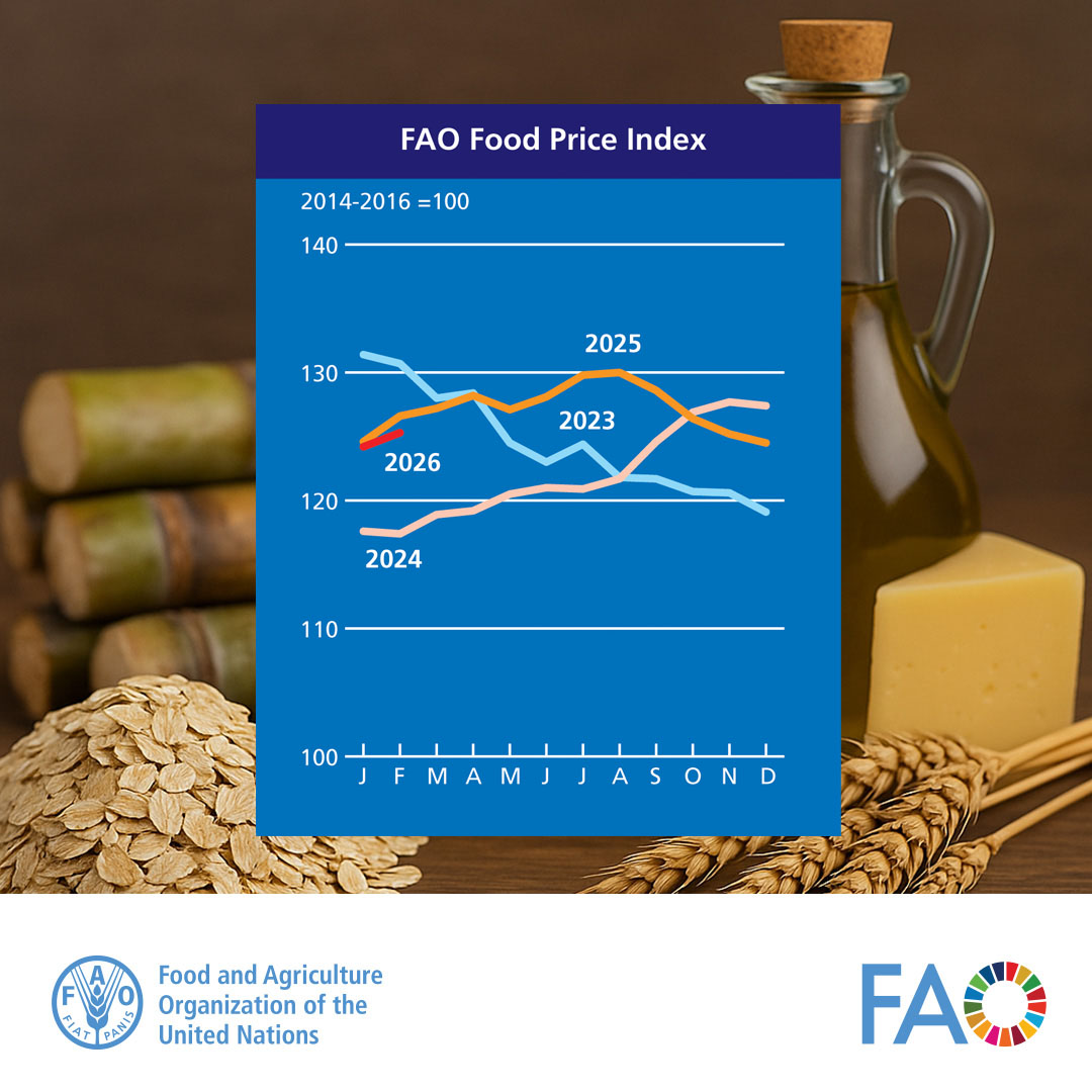 FAO Social & Economic Development tweet media