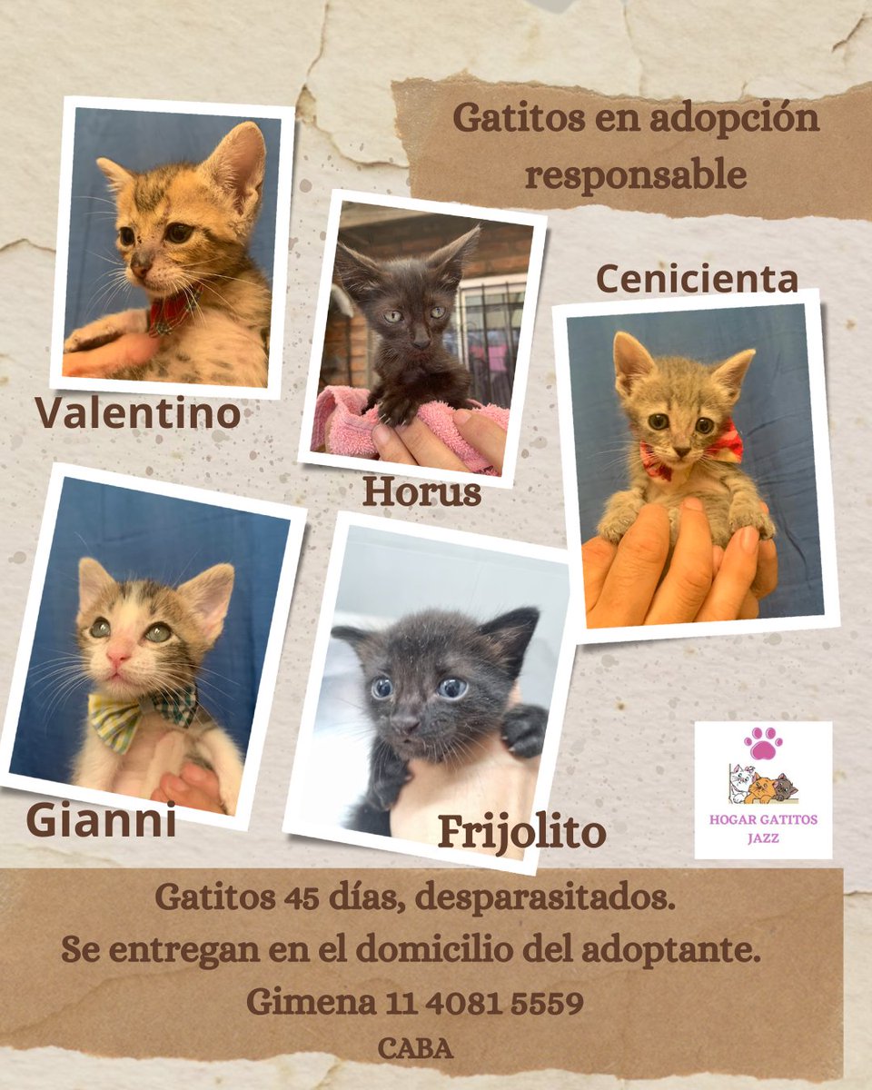 Y llegó el día Valentino, Gianni, Cenicienta, Horus y Frijolito ya están listos para encontrar una familia que los quiera sumar como uno más.
Busco gente responsable, que entienda todos los cuidados que necesita un gatito.
Si te enamorás me mandás un mensaje