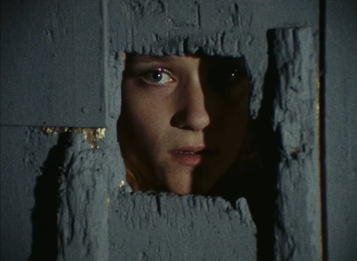 Sarah Makes People Watch Things! tweet media