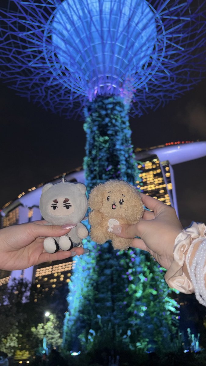 来ちゃったシンガポール🇸🇬