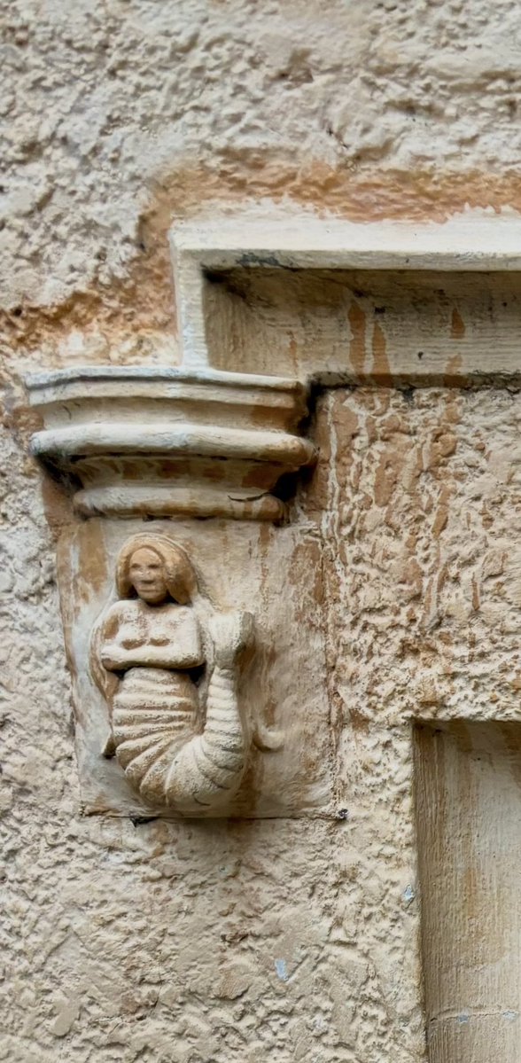 Kate North tweet media