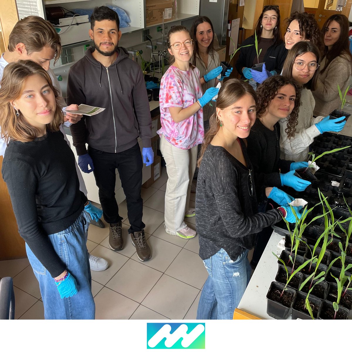 iPlantMicro Lab tweet media