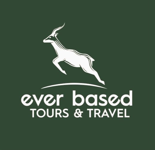 Everbased Tours and Travel tweet media