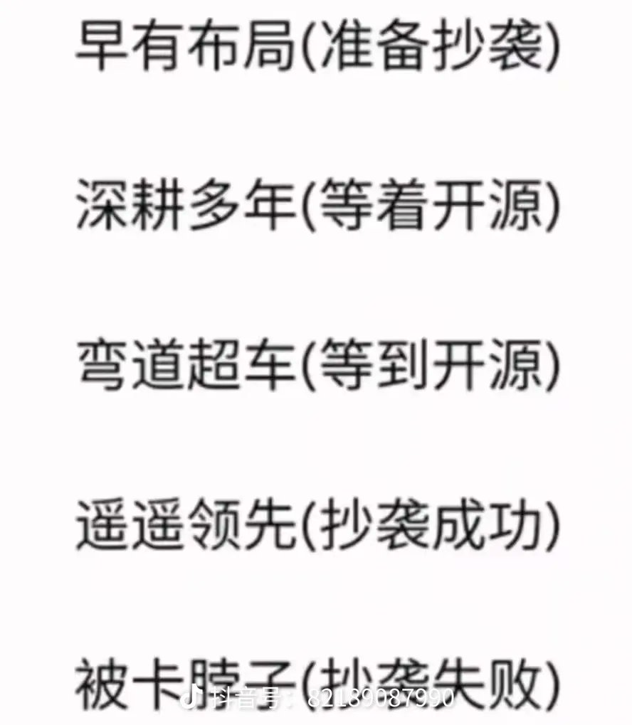 中国网友总结的民族企业常用术语。
