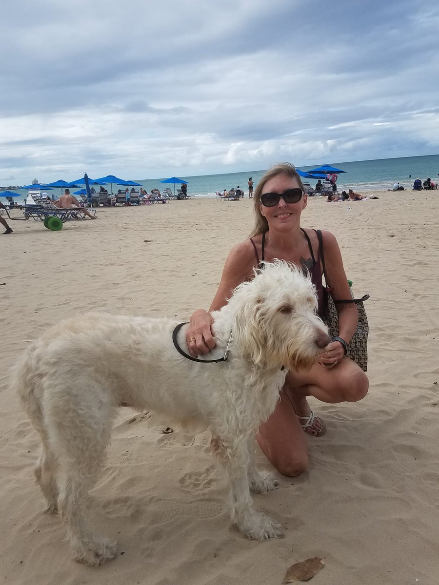tyreeserules's tweet photo. @Denver4VA Marked safe from Kristi Noem, my service dog Opal. https://t.co/QKs8PV7dgC