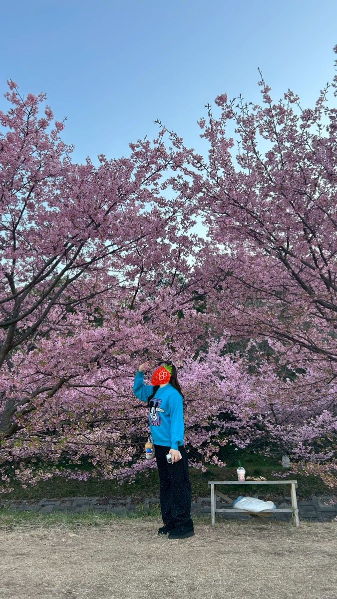 kawaim_38's tweet photo. お🌸は🌸な🌸み🌸 https://t.co/2grrBvOJNt
