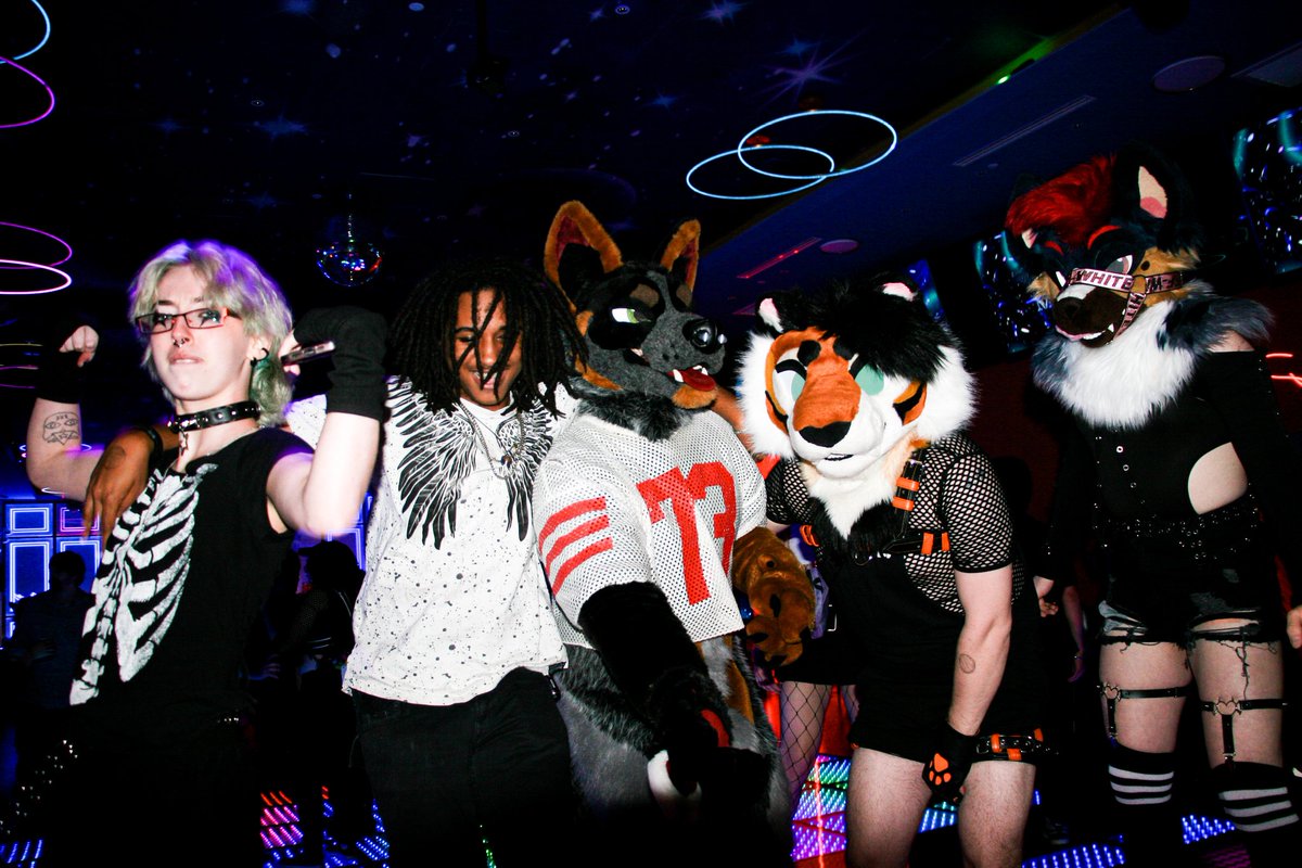 CLUB MAUL tweet media