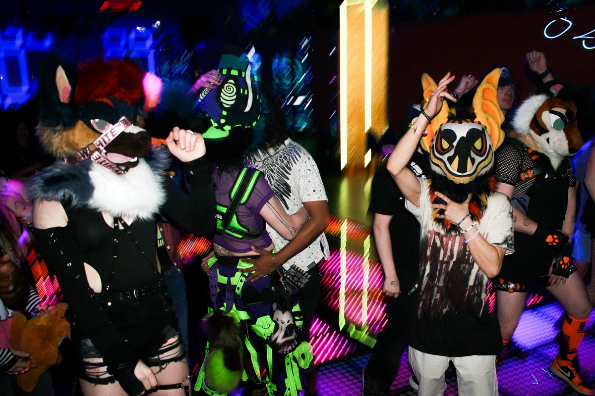 CLUB MAUL tweet media