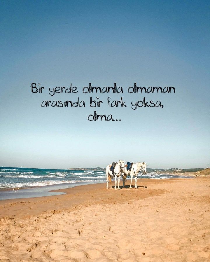 Kıymetinin bilinmediği yerde kalma, ziyan olursun.