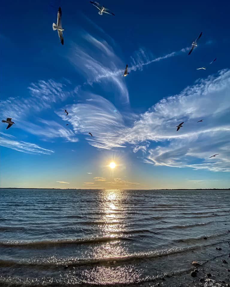 Floridian Creations tweet media