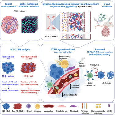 Cancer Cell tweet media
