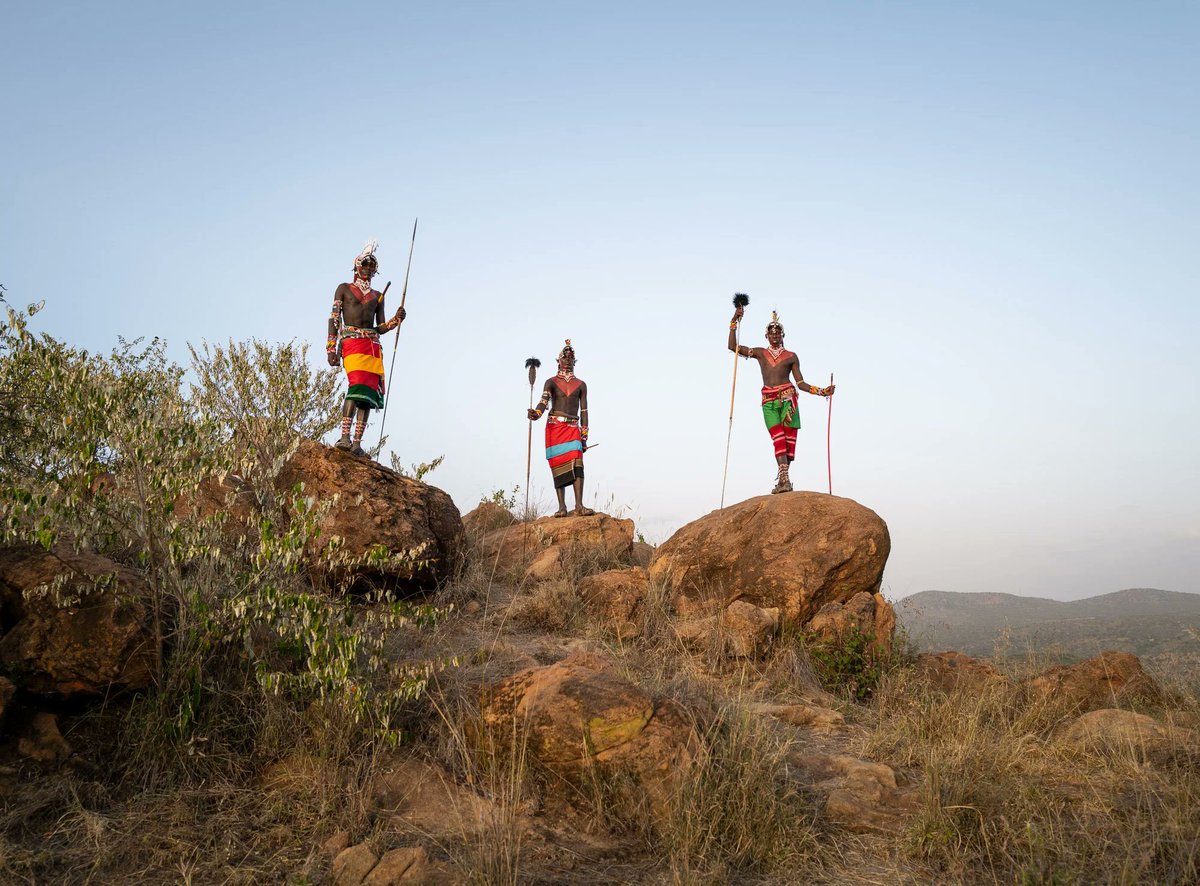 Michael Clark tweet media