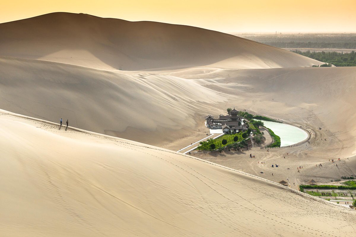 GoodAmericanMan's tweet image. Whenever I have to go to Walmart or any other multi-ethnic brown mystery meat place, I'm more than gracious and affable to the staff, because I know my mere presence to them is like spotting a shining oasis in a sea of shit. You can actually see their bodies physically gain