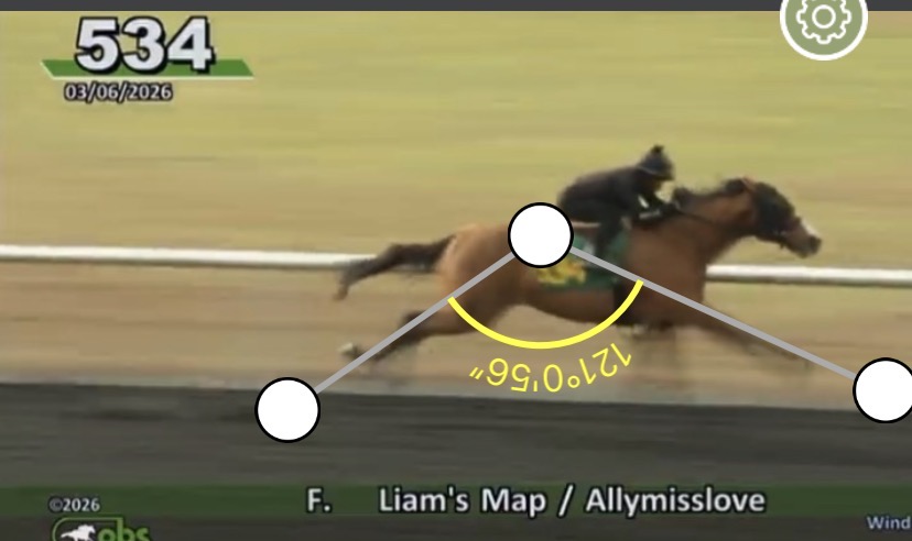 Justify👑 tweet media