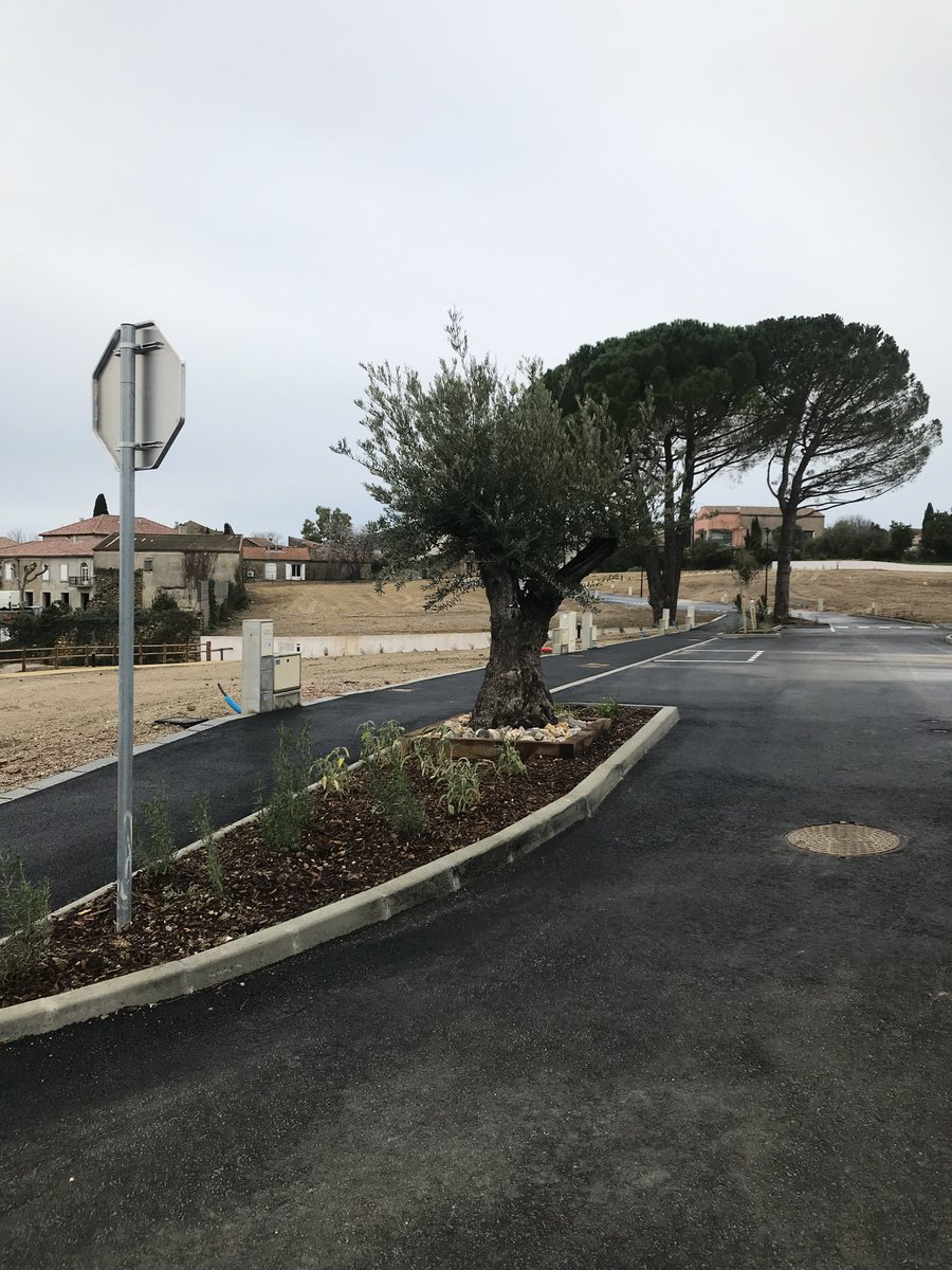 rambierimmo's tweet photo. ☀️ Travaux terminés - Terrains à bâtir ☀️
🏠 Parcelles libres constructeurs à partir de 200 m² et jusqu'à 602 m² !
✉️ Informations &amp; contact : https://t.co/bnzE0kZsAv
-
#Autignac #Hérault #Occitanie #Immobilier #Lotissement #TerrainÀBâtir https://t.co/DuUvEobmHA