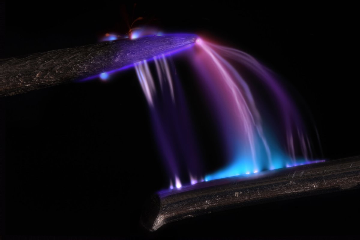 Nikon Small World tweet media