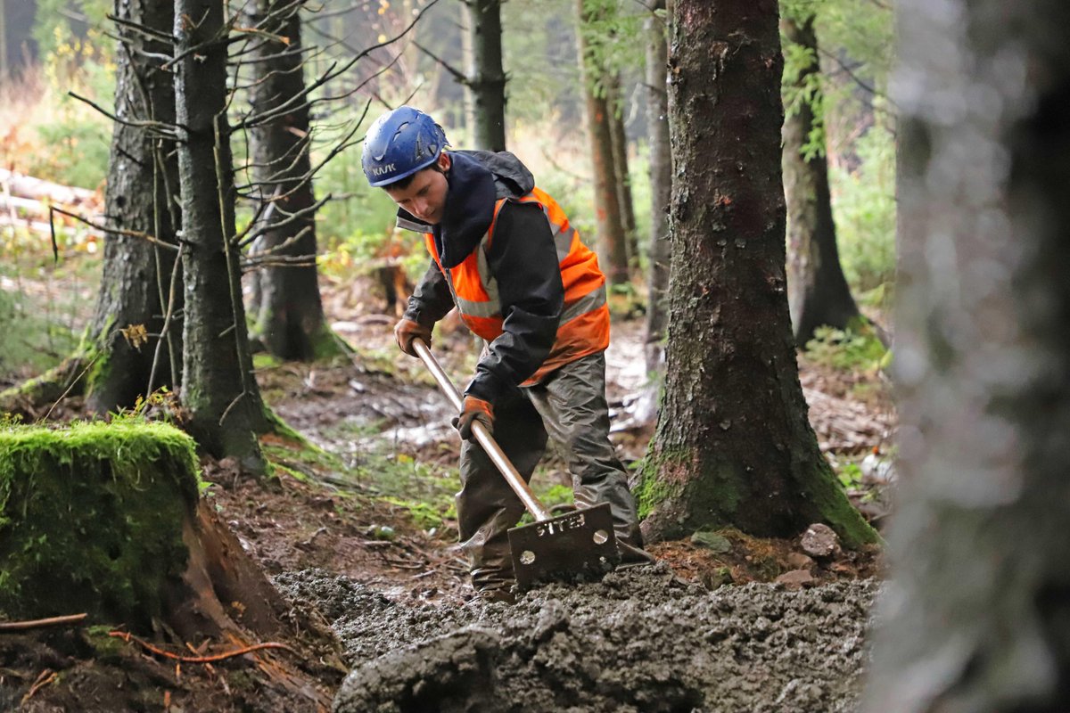 off-road.cc tweet media