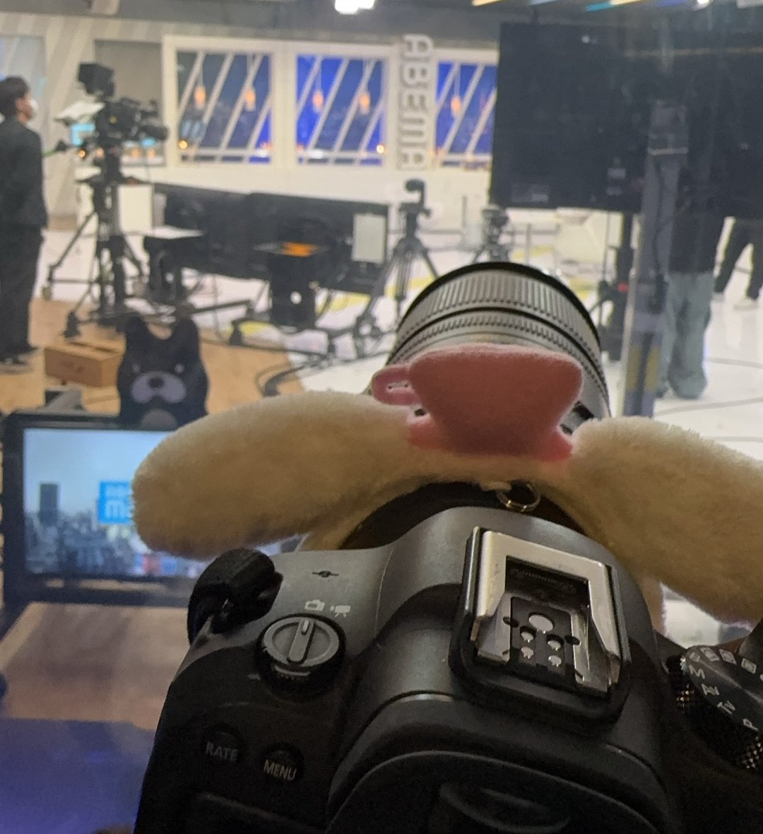 久しぶりんー

#ゆきりん