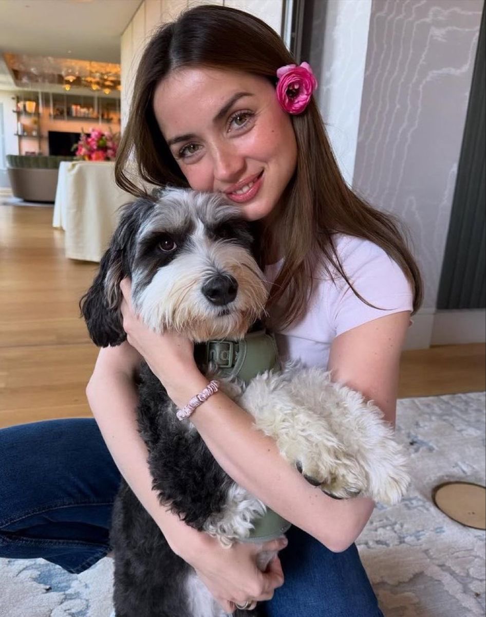 clara ‍ ( . . . ) ‍ AFTON. tweet media