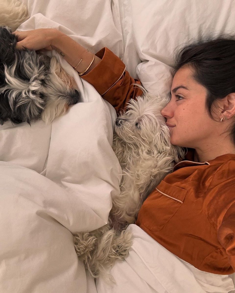 clara ‍ ( . . . ) ‍ AFTON. tweet media