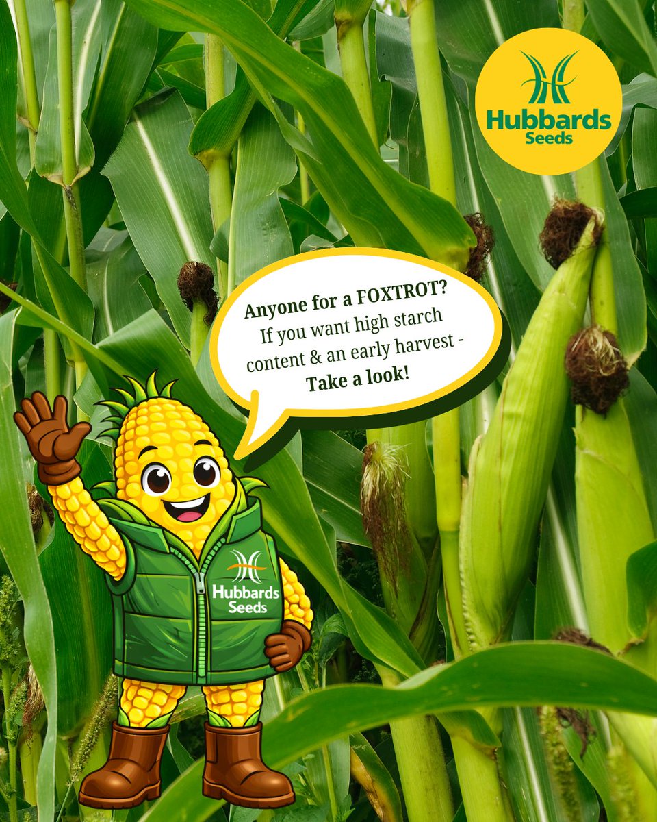 Hubbards Seeds tweet media