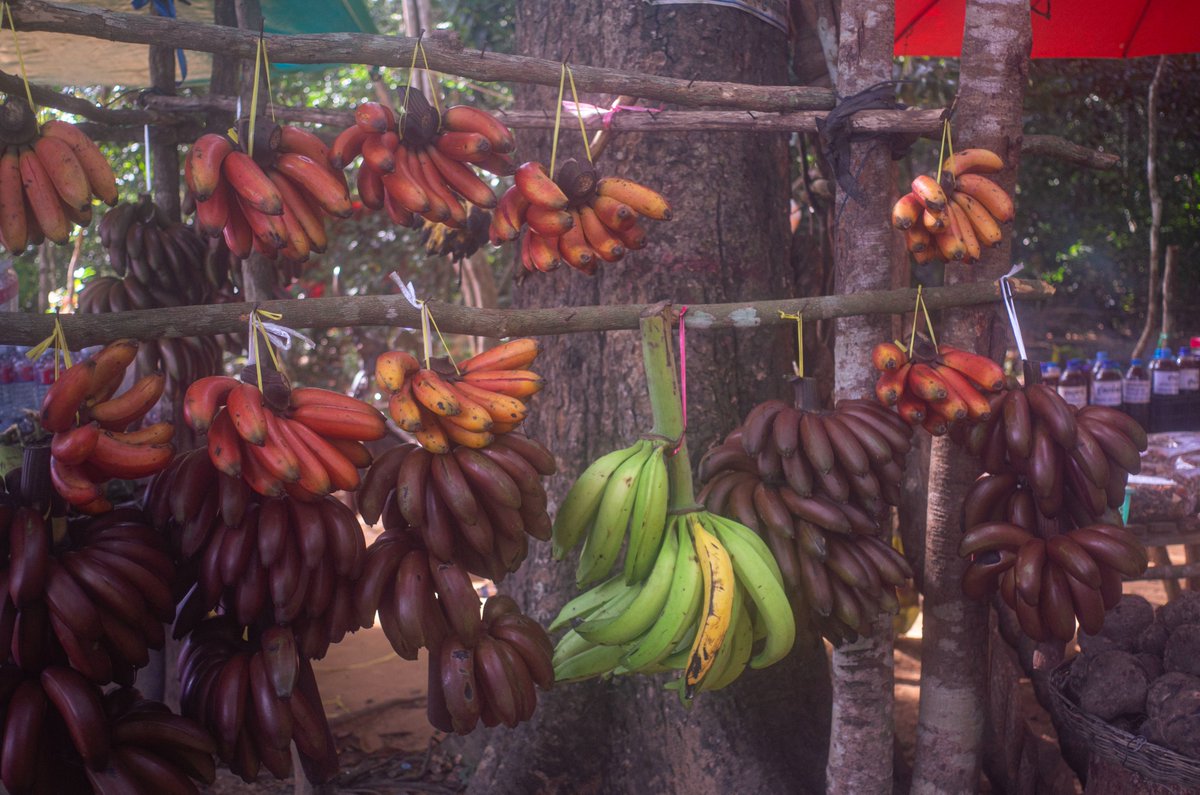 このみさんちのベーグル tweet media