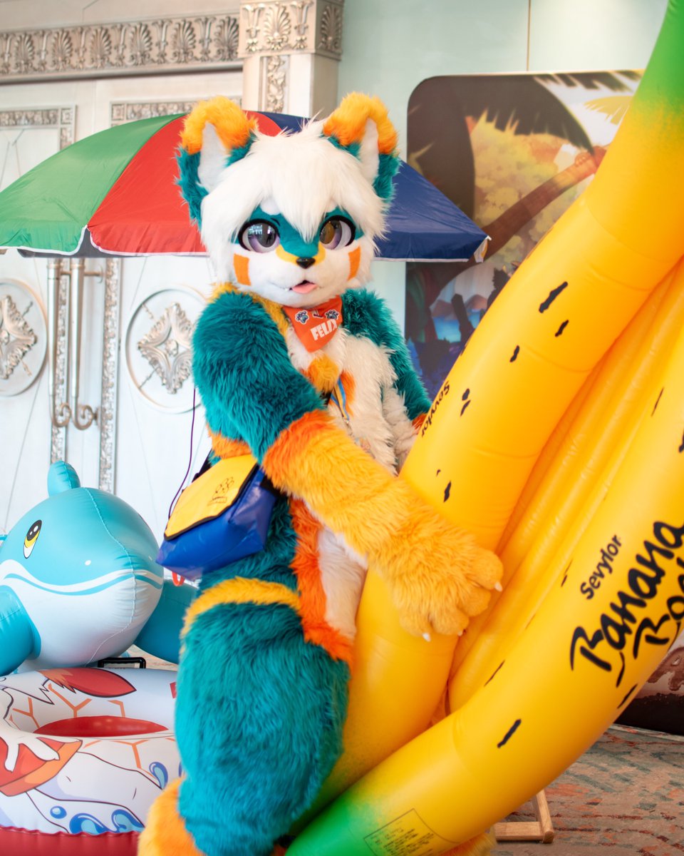 Felix|Chestnafox 🔜 🇹🇭 Thaitails 2026 tweet media